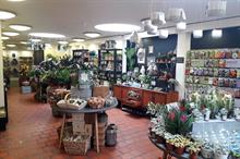 Image: RBG Kew Enterprises