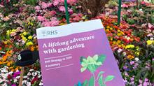 RHS strategy pamphlet against backdrop of hundreds of multi-coloured flowers