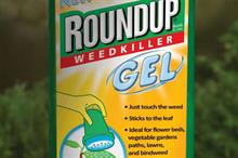 What is the future for glyphosate?