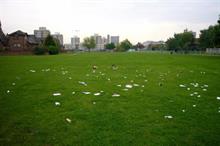 How can parks cope with growing litter on shrinking budgets?
