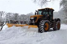 What business opportunities have the snow and ice presented for grounds maintenance firms?