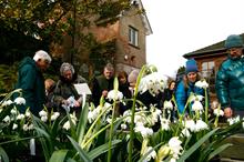 How garden attractions can build a successful show