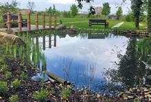 Tilhill Forestry landscape project including pond, bridge, benches and surrounding planting