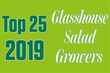 HW's Top 25 Glasshouse Salad Growers report