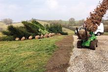 Tree planting guide - three basic rules