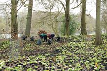Image: Trentham Gardens