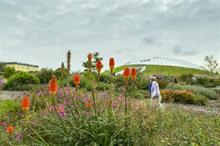 What is BGCI accreditation and how can it help botanic gardens?