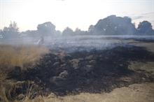 How can green space managers protect against the risk of wildfires?