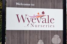 Image: Wyevale Nurseries