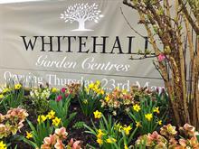 Whitehall Garden Centres sees growth