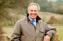 What effect will the newly appointed 'tree champion' have on tree management?