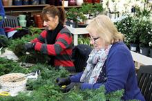 Image: Hillier Nurseries