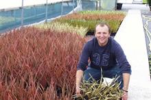 European port delays hit UK plant import and export