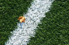 HW Survey - Artificial Turf Survey 2021 (free access)