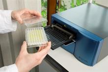 Wageningen University develops ToBRFV tomato virus detection test