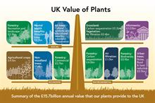 Defra graphic on the UK value of plants