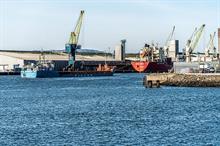 UK-Northern Ireland plant import extension move 'gives breathing space' but leads to EU backlash