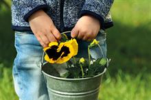 Top 100 Garden Centres 2017 - Sales trends