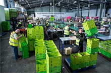 Butters Group bought by Flamingo Horticulture