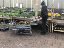 Gardening top spend during coronavirus lockdown