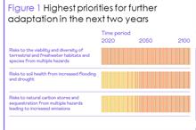 Peat and trees action needed to beat global warming finds Climate Change Committee report