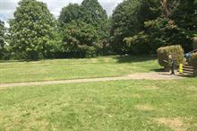 Lockdown lesson for Government: over two thirds want to see their local green space enhanced