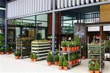 Waitrose to go bagged peat-free by 2022