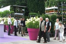 Increasing biorational efficacy at Four Oaks
