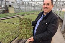 What are the young plant market's prospects for 2018?