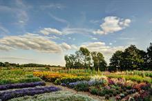 What do 2018 hosepipe ban threats mean for growers and garden centres in the future?