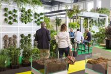 People viewing at international horticulture events