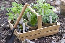 How plastic pot alternatives might develop