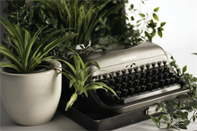Most Instagrammable houseplants listed
