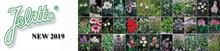 Jelitto launches new varieties for 2019