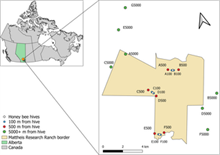 Worthy SH, Acorn JH, Frost CM (2023) Honey bees (Apis mellifera) modify plant-pollinator network structure, but do not alter wild species’ interactions