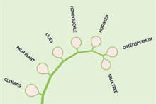 Seasonal analysis: most searched for plants online - April - May 2021