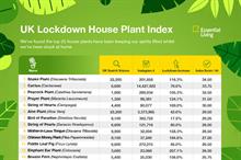 Most popular lockdown houseplants across the UK during the coronavirus crisis