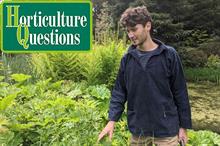 Six questions with garden designer Maxwell Parker Smith