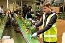 Horticulture industry could be worth 50% more if skills gap is filled
