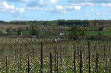 What do fruit and vegetable growers hope for from a renationalised farming policy?