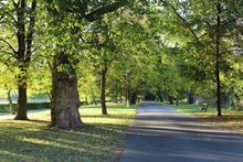 How councils are testing the foundation model to help fund green space