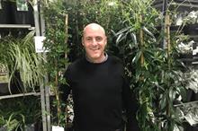 Plant importer questions whether bringing plants from the EU makes him a sinner or saviour