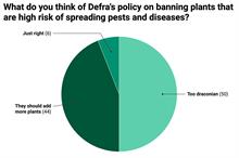 Donut chart of the survey responses