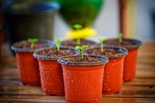 Petition aims to force change on plastic plant pots