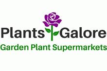 Litigation partner supports Plants Galore in coronavirus case