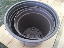 Hillier to join introducers of taupe plastic plant pots