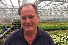 How did the royal parks' horticulture teams plan for the royal wedding?