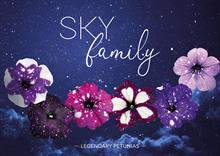 Selecta launches new Sky petunias
