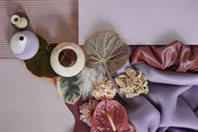 Flower Council Holland identifies four 2021 ornamentals trends