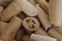 Loofahs tipped as quirky gardening sales trend on BBC